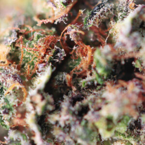 Dutch Grandma – flor de CBD Spliff, foto 2
