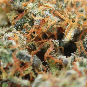 Super Lemon Haze – flor THCX Spliff, foto 2