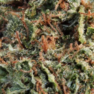 Girl Scout Cookies