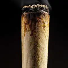 SPLIFF