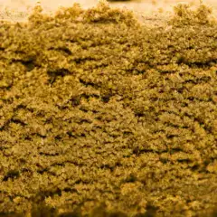SPLIFF