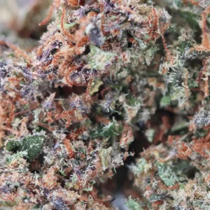 Jack Herer – flor de CBD Spliff, grande plano