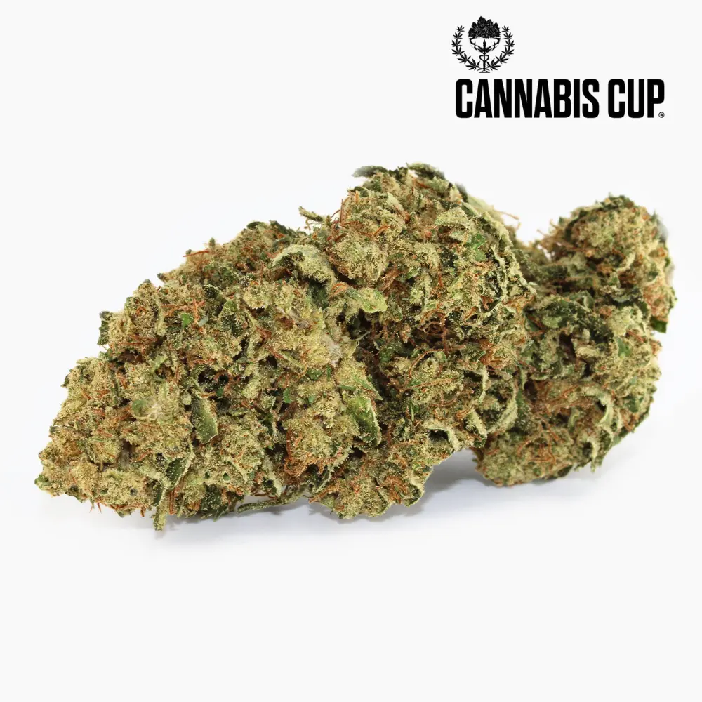 Tangie Kush – flor de CBD Spliff