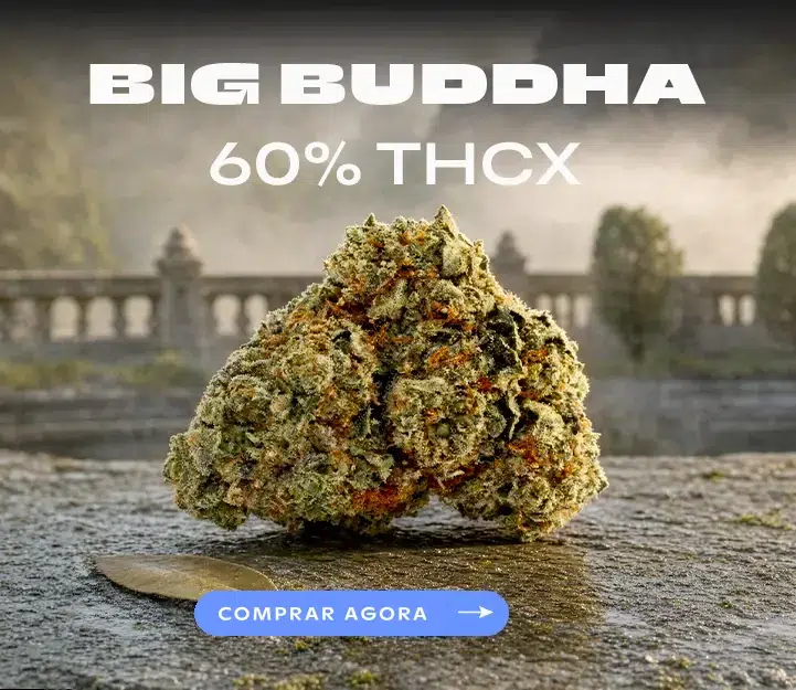 Big Buddha THCX Spliff – flor 60% THCX