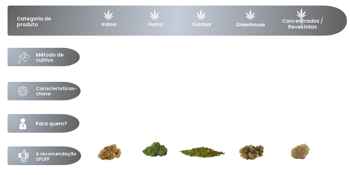 Tabela comparativa das variedades de flor CBD segundo o tipo de cultivo: indoor, hydro, outdoor, greenhouse