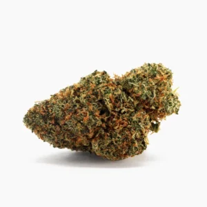 Blueberry Muffin THCX 60% – flor THCX com tricomas e pistilos laranja