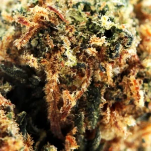 Blueberry Muffin THCX 60% – macro de tricomas e pistilos