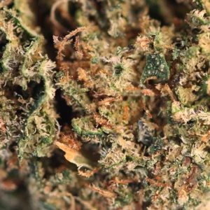 Cosmic Cookie CBD – macro de tricomas e pistilos