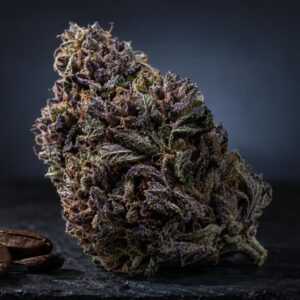 Plano aproximado com luz natural sobre Erva sem THC