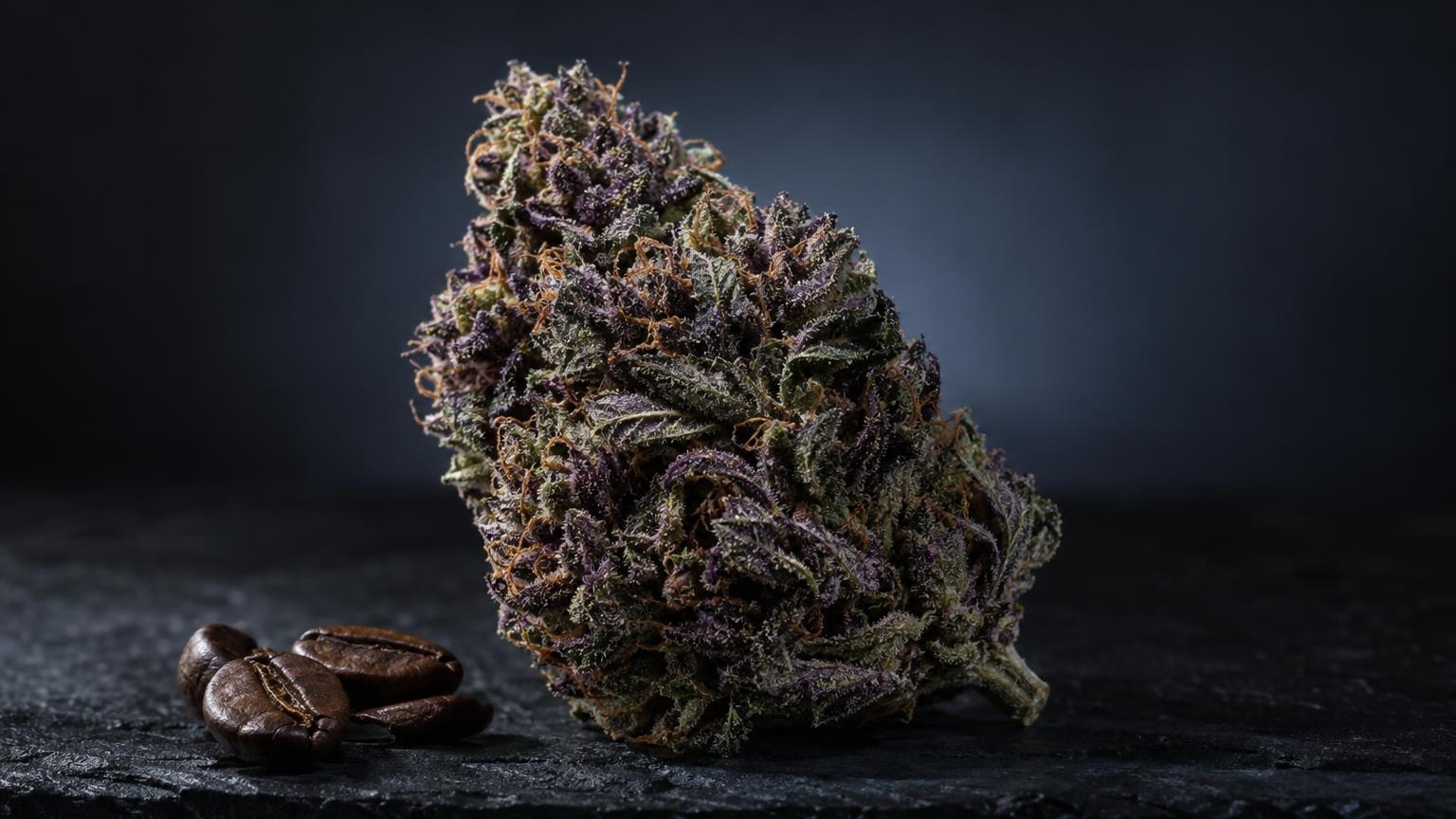 Plano aproximado com luz natural sobre Erva sem THC
