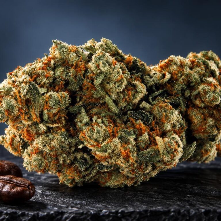 Indica vs sativa: flor Amnesia numa composição de estúdio