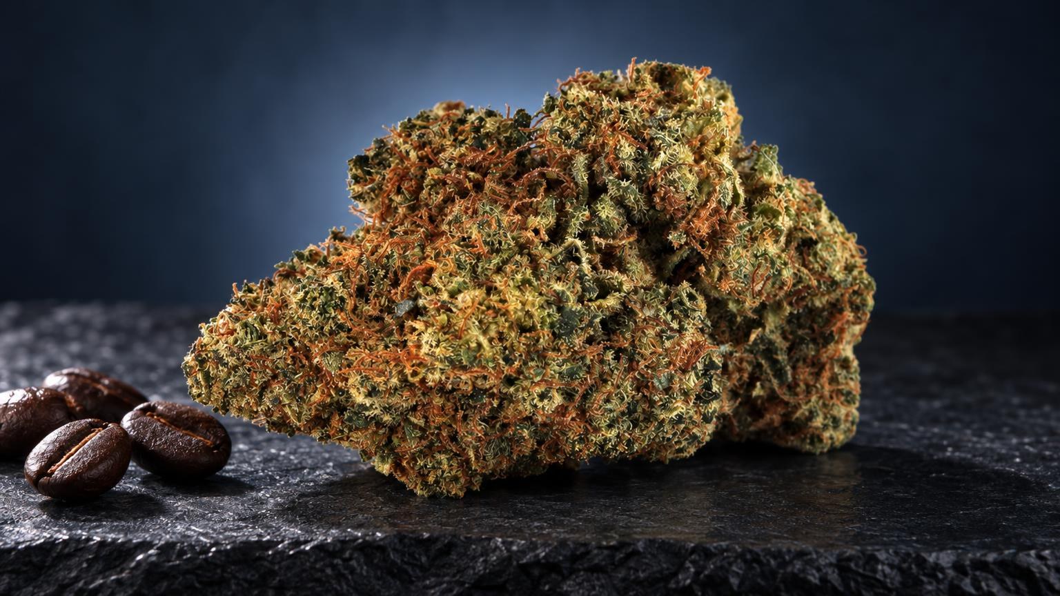 Diamond Kush com estrutura densa e ramificada, tons verde-dourados e laranja, acompanhado de sementes ao lado