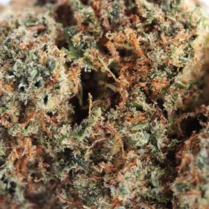Plutonium CBD – macro de tricomas e pistilos