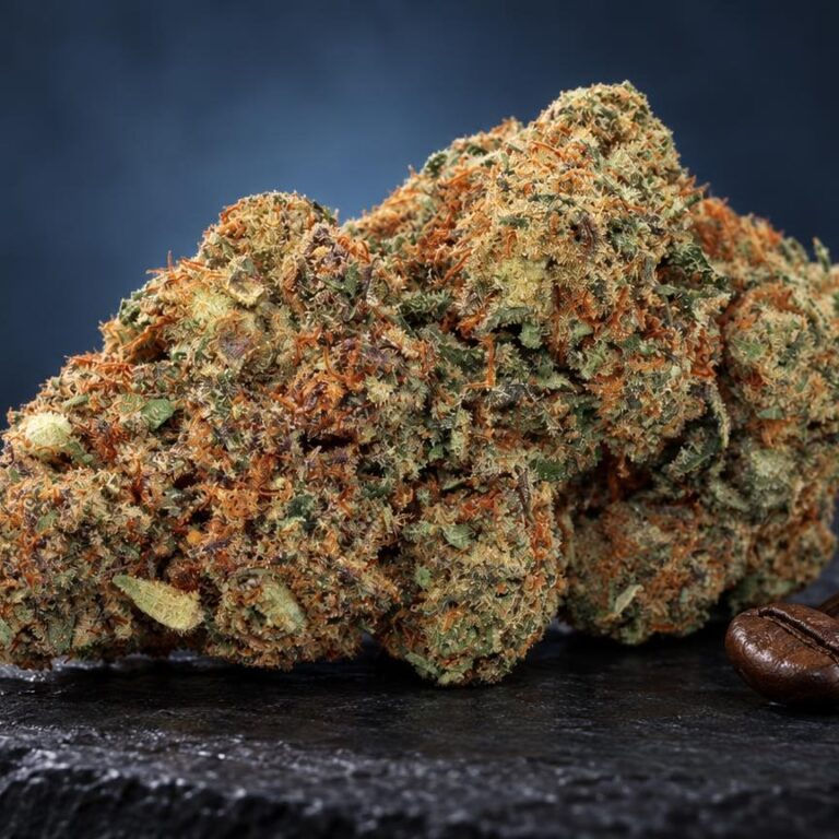 Terpenos: flor Jack Herer numa composição de estúdio