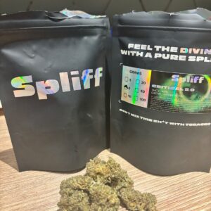 Critical 2.0 — Dwayne C.