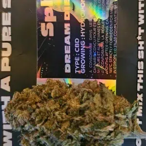 Dream Diesel — Yves V.