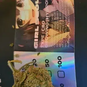 Girl Scout Cookies — Yves V.