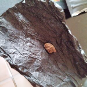 Avaliação de cliente Golden Crystal com foto - Spliff