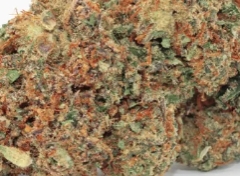 Click to view full screen Avaliação de cliente Jack Herer com foto - Spliff