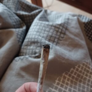 Avaliação de cliente Lemon Kush Pop com foto - Spliff