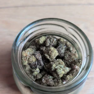 Minibud Cali USA — corto C.