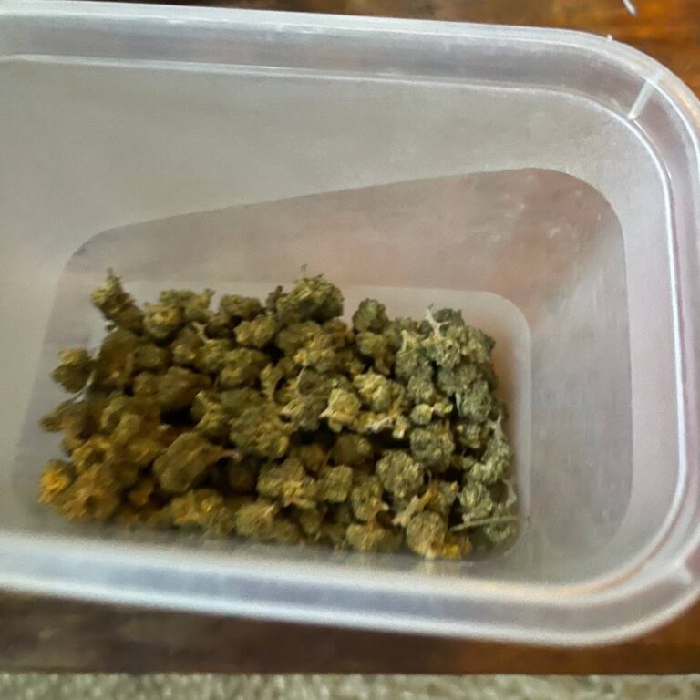 Click to view full screen Avaliação de cliente Minibud Premium Superskunk com foto - Spliff
