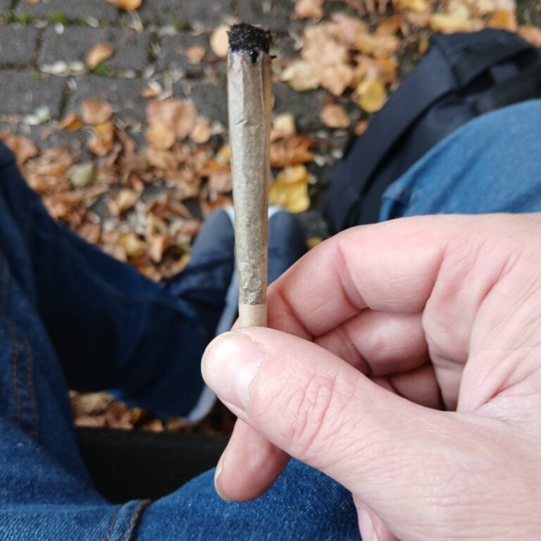 Click to view full screen Avaliação de cliente Joint pre-roll - Zkittlez com foto - Spliff