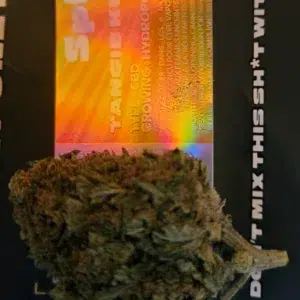 Opinião de cliente com fotografia – SPLIFF